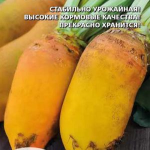 Свёкла кормовая ЗОЛОТЫЕ ГИГАНТЫ